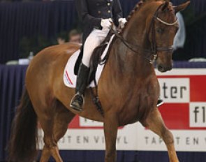 Michelle van Lanen on Urchin B :: Photo © Astrid Appels
