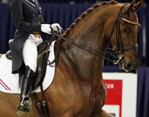 Chantal van Lanen on the huge liver chestnut Urchin B (by Jazz x Vincent)