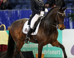 Belgian Julie van Olst on her elegant rising 8-year old mare No Problem (by No Limit x Ehrensold)