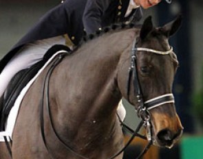 Belgian junior rider does the young riders tests with Maxwil, a 16-year old Dutch bred gelding by Goodwill x Dageraad