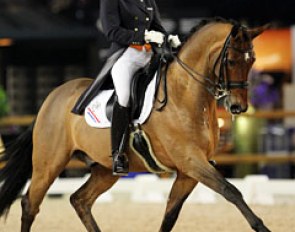 Dutch junior team rider Teddy Wiedeler moved up to the young riders division with her Topper (by Welt Hit II)