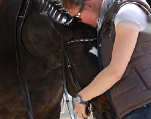 Nathalie zu Sayn-Wittgenstein's groom Benedicte Stine Olsen cuddling Digby