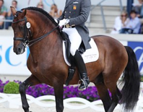 Jose Daniel Martin Dockx and Grandioso at the 2012 CDIO Aachen :: Photo © Astrid Appels