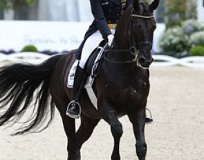 Ingrid Klimke pats Dresden Mann after he settles down from spooking in the corner due to horses passing by. The Dresemann offspring was very tense at the start of his test but slowly improved
