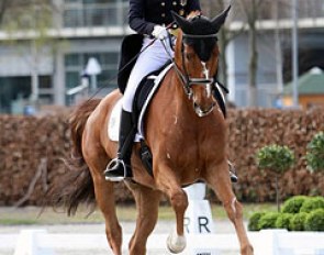 Fabienne Lutkemeier on Qui Vincit Dynamis