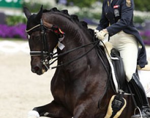 Victoria Max-Theurer and Della Cavalleria (by Diamond Hit) finish second in the Prix St Georges at the 2012 CDIO Aachen :: Photo © Astrid Appels