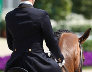Cool little kangaroo on Kristy Oatley's saddle