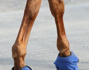 Blue suede shoes