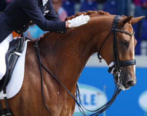 Marlies van Baalen gives Miciano a big pat after finishing her test at the 2012 CDIO Aachen :: Photo © Astrid Appels