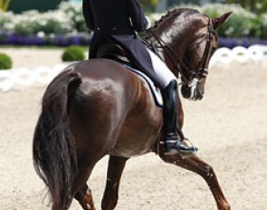 Maria von Essen on the Hanoverian bred Ferdi (by Federweisser)