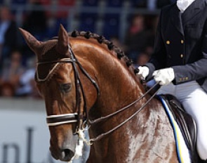 Maria von Essen and Ferdi at the 2012 CDIO Aachen :: Photo © Astrid Appels