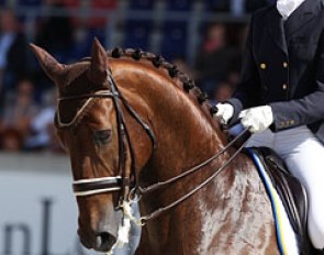 Maria von Essen and Ferdi at the 2012 CDIO Aachen :: Photo © Astrid Appels