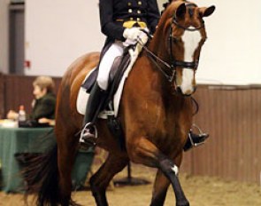 Nikki Crisp on Pasoa