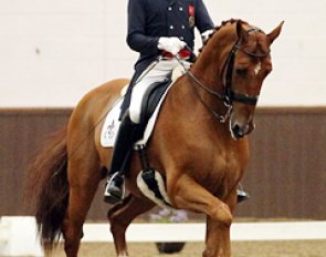 Carl Hester on Fiona Bigwood's Wie Atlantico