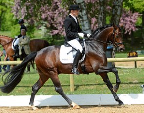 Ralf Kornprobst on Diamond of Glory