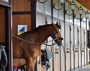 Nilo del Castegno in cross tries at Truppa's Centro Equestre Monferrato