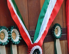 Valentina was 2011 Italian Grand Prix Champion