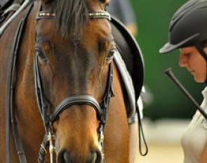 Micol Rustignoli getting Corallo Nero ready for a ride