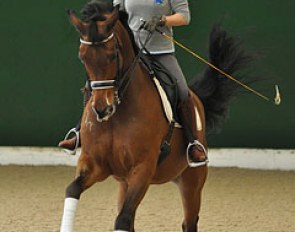 Valentina Truppa on Eremo del Castegno