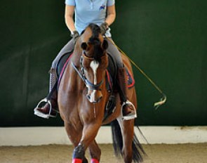 Nilo del Castegno has little problems with leg yielding