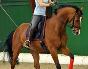 Offering the hand forward in a baby half-pass to ensure self-carriage