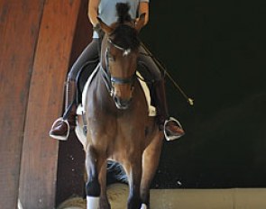 Valentina on Ranieri. The sides of the indoor arena can be opened in summer to improve air circulation.