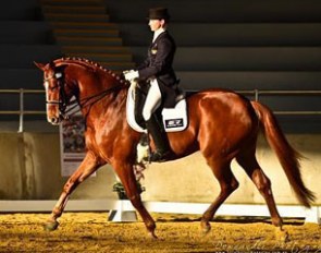 Victoria Welch on Brentanus :: Photo © Downunder Photography