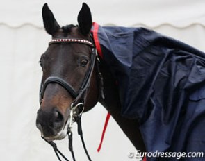 Tonic in rain attire