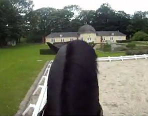 Digby performing the Dansez Maintenant freestyle at home in Berleburg, Germany