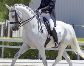 Jacqueline Brooks and D Niro at the 2012 CDI Blainville :: Photo © Cealy Tetley