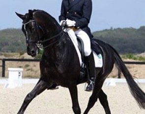 David Shoobridge and OO Seven at the 2012 CDI Boneo Park