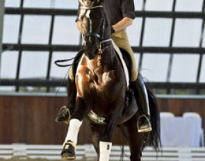 Rudolf Zeilinger riding OO Seven in a demonstration at Fiona Selby's Boneo Park in 2012 :: Photo © Chris Baggot