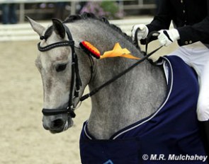 Lettenhof's Easy Finish :: Photo © Melissa Rose Mulchahey