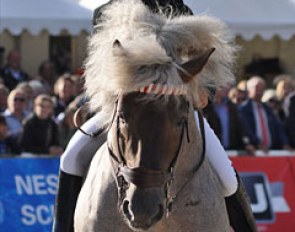 Uta Gräf test-riding a slightly "heavier" horse during a demo 