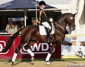 Johanna Klippert and Franziskus won the 4-year old riding horse stallion class