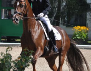 Damon's Delorange put whopping scores on the board in the 5-year old Finals at the 2012 Bundeschampionate