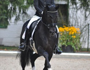 Kristina Sprehe on Furst Fugger