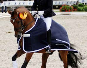 Wibke Stommel-Hartmann and Don Henley at the 2012 Bundeschampionate :: Photo © Melissa Rose Mulchahey
