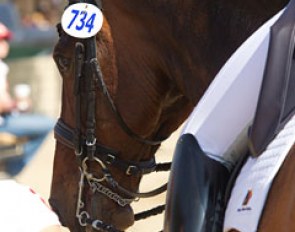 Lindsey Stroh's Lancelot