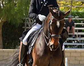 Steffen Peters and Legolas