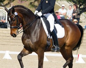 Steffen Peters on Legolas