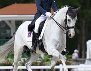 Santorini Hit at the 2012 CDI Compiegne in France :: Photo © Astrid Appels