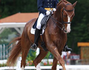 Catherine Henriquet and Paradieszauber at the 2012 CDI Compiegne :: Photo © Astrid Appels