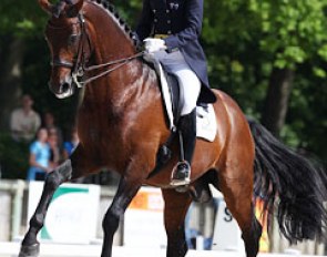Lyndal Oatley on Sandro Boy