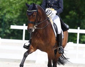 Italian Chiara Prijs-Vitale on Hot Chocolate at the 2012 CDI Compiegne :: Photo © Astrid Appels