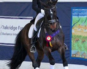 Steffen Peters and Ravel (by Contango x Democraat)