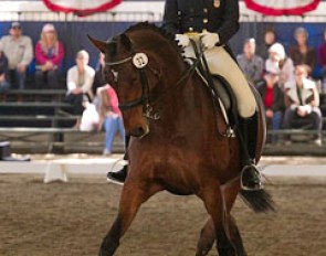 Kathleen Raine on the Hanoverian mare Breanna (by Brentano II)