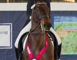 Kathleen Raine on her 9-year old KWPN stallion Waku Waku (by Sir Sinclair x Havidoff)