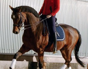 Emma Nymand Hansen on Seduc