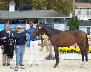 Francheska AH (by Fielding x Maurice) :: Photo © Hoof Print Images